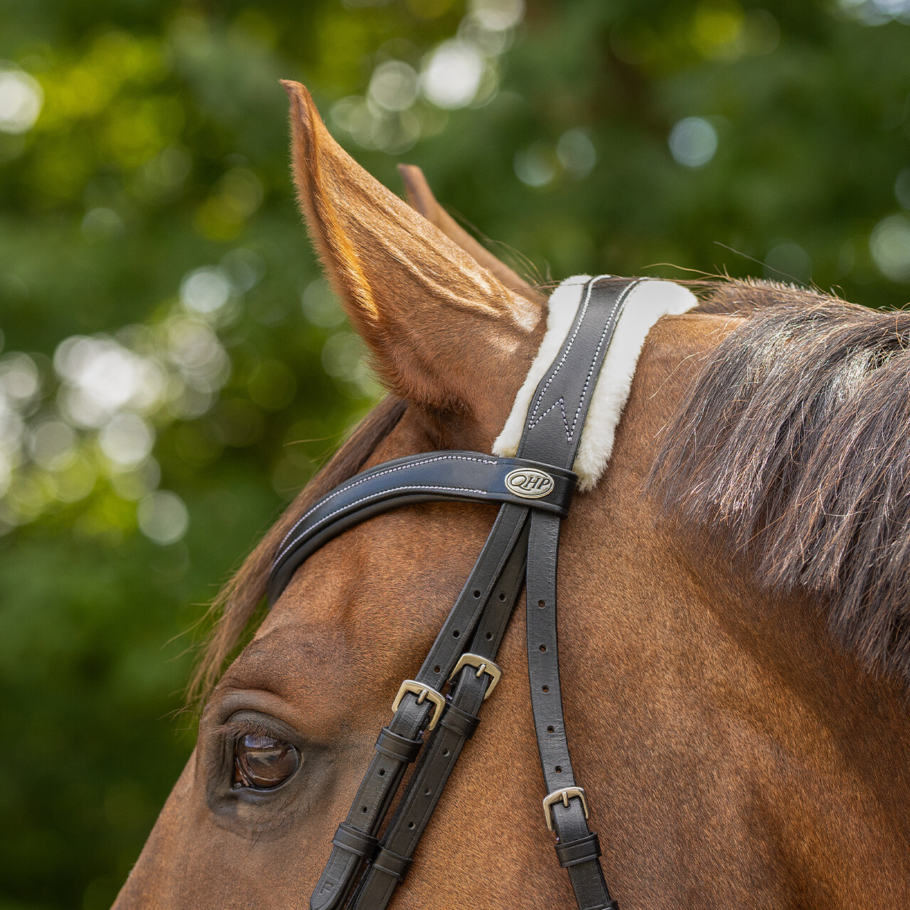 Bridle Ontario incl. reins