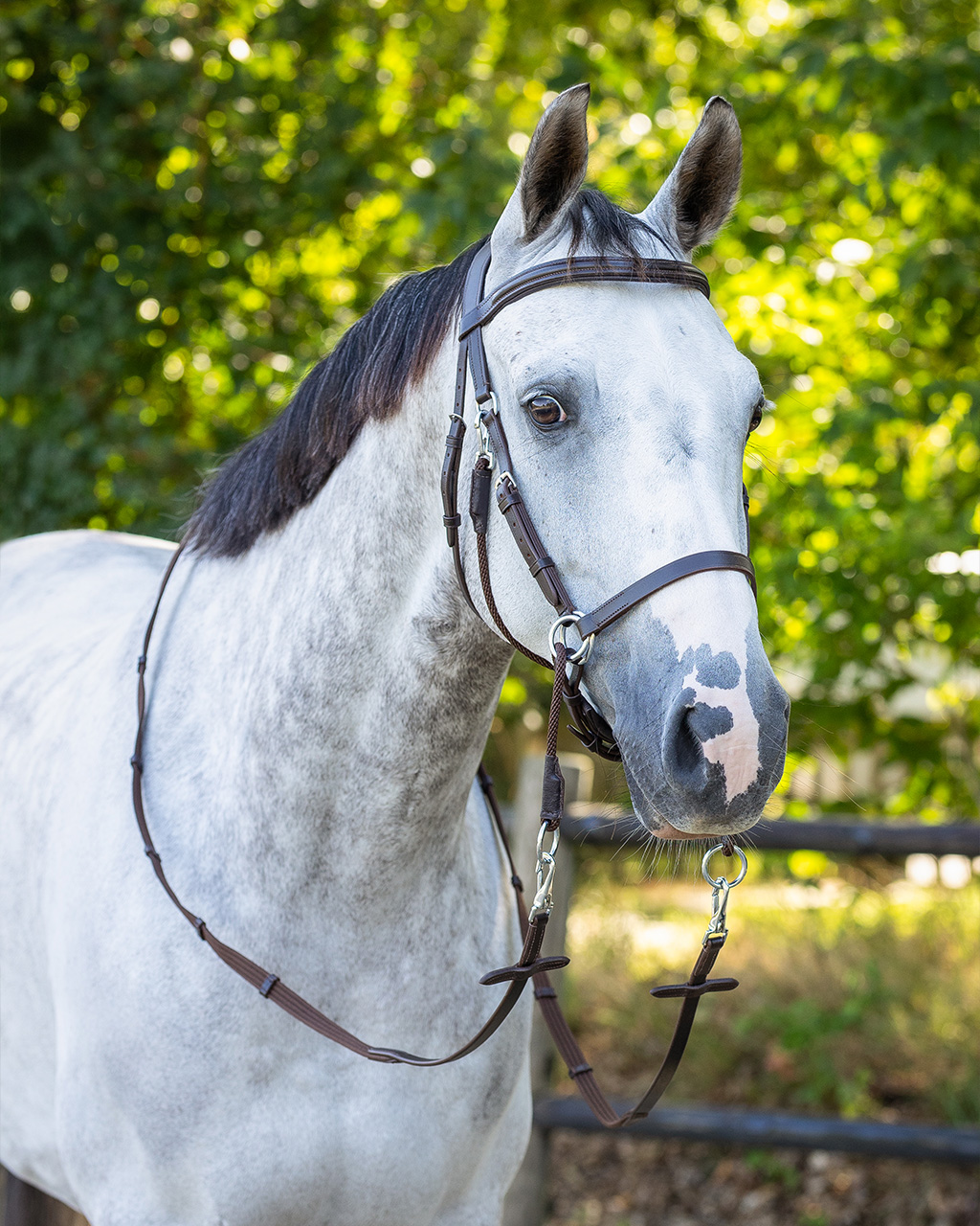 Bitless bridle Ceto incl. reins