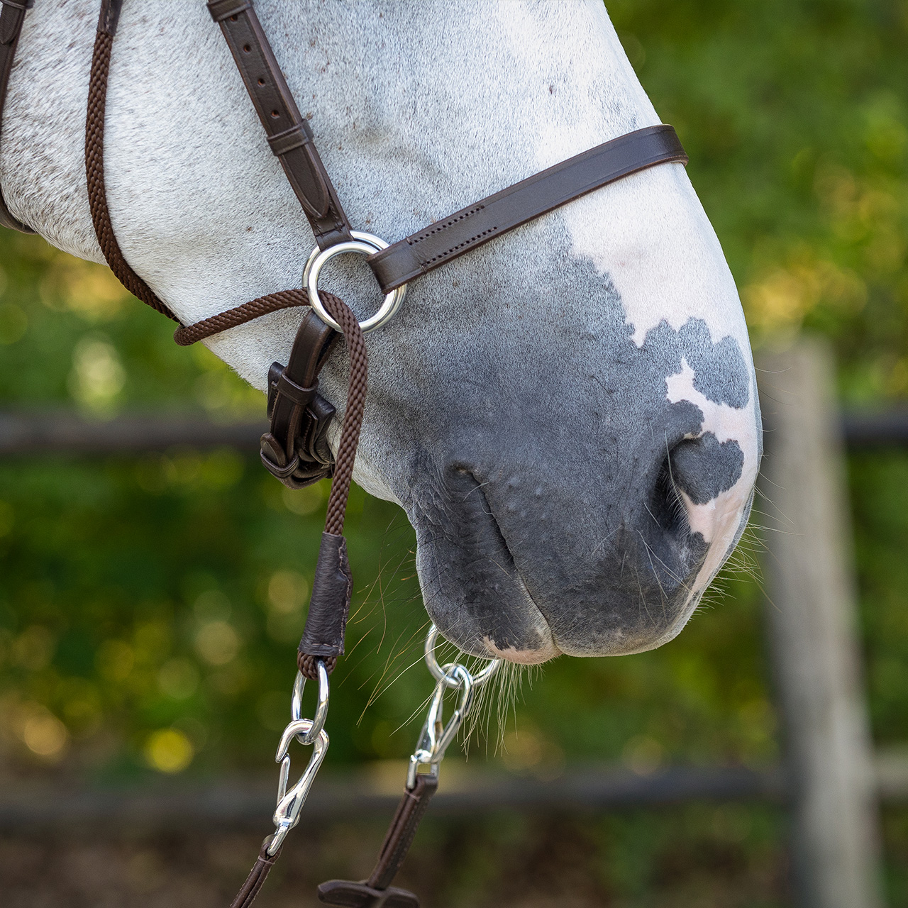 Bitless bridle Ceto incl. reins