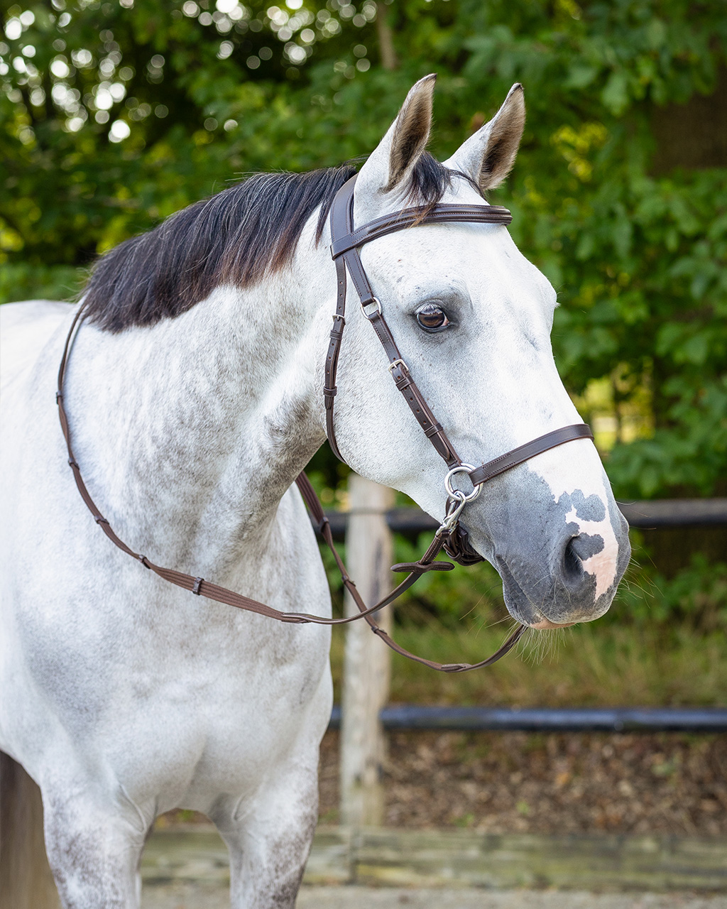 Bitless bridle Ceto incl. reins