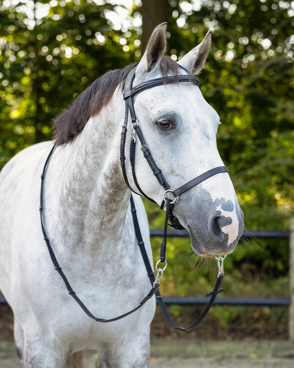 Bitless bridle Ceto incl. reins