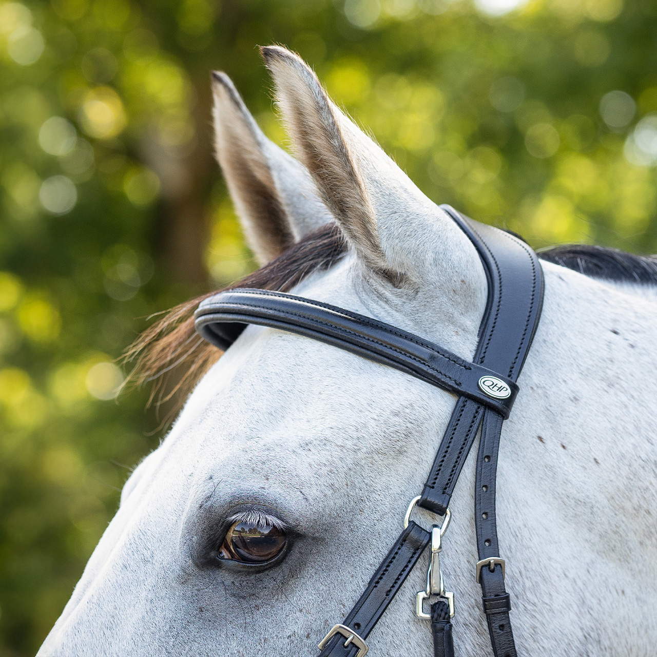 Bitless bridle Ceto incl. reins
