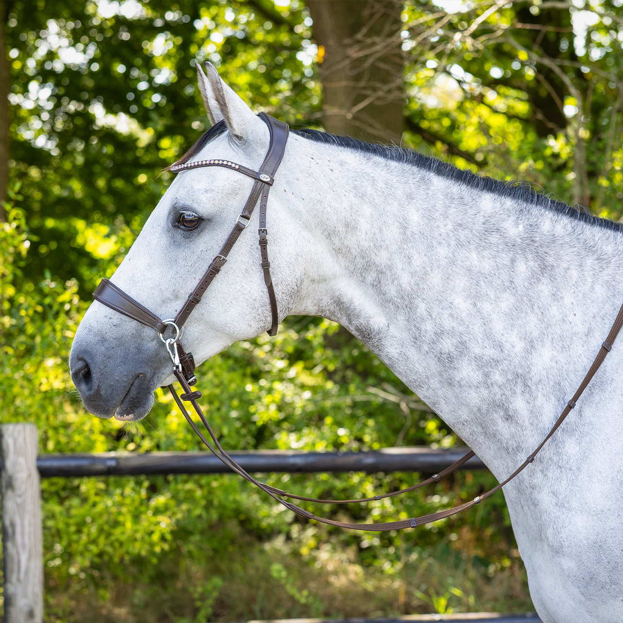 Bitless bridle Sunna incl. reins