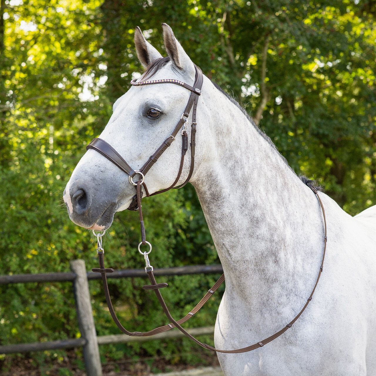Bitless bridle Sunna incl. reins