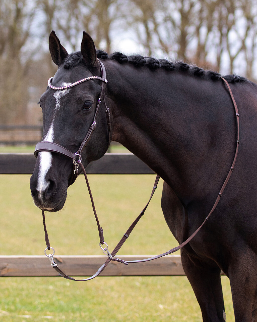 Bitless bridle Sunna