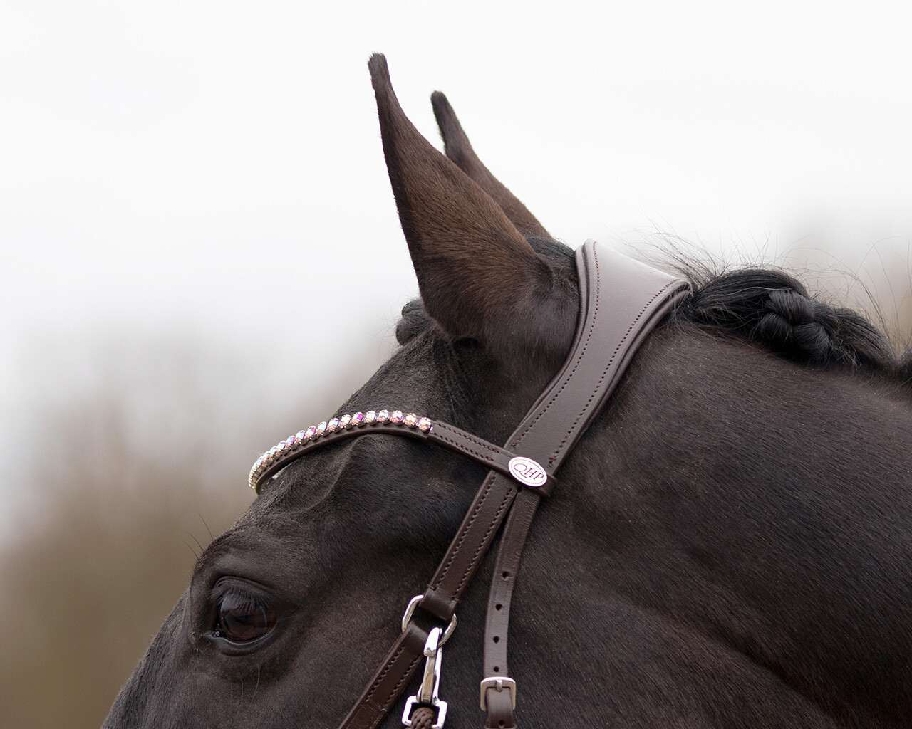 Bitless bridle Sunna