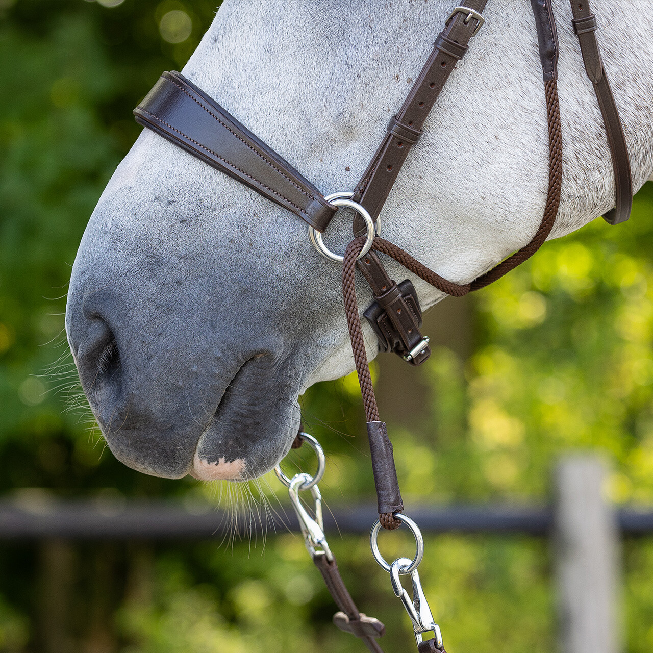 Bitless bridle Sunna incl. reins
