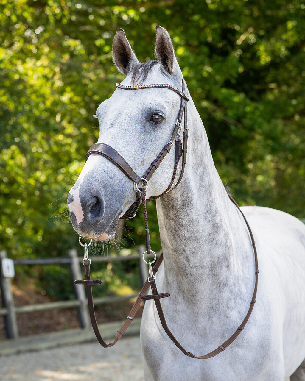 Bitless bridle Sunna incl. reins