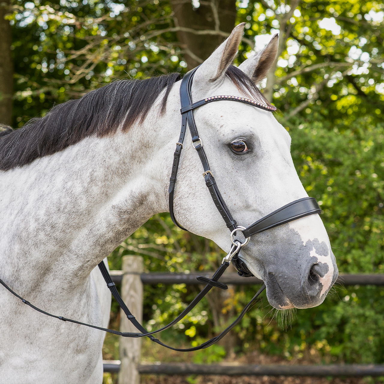 Bitless bridle Sunna incl. reins