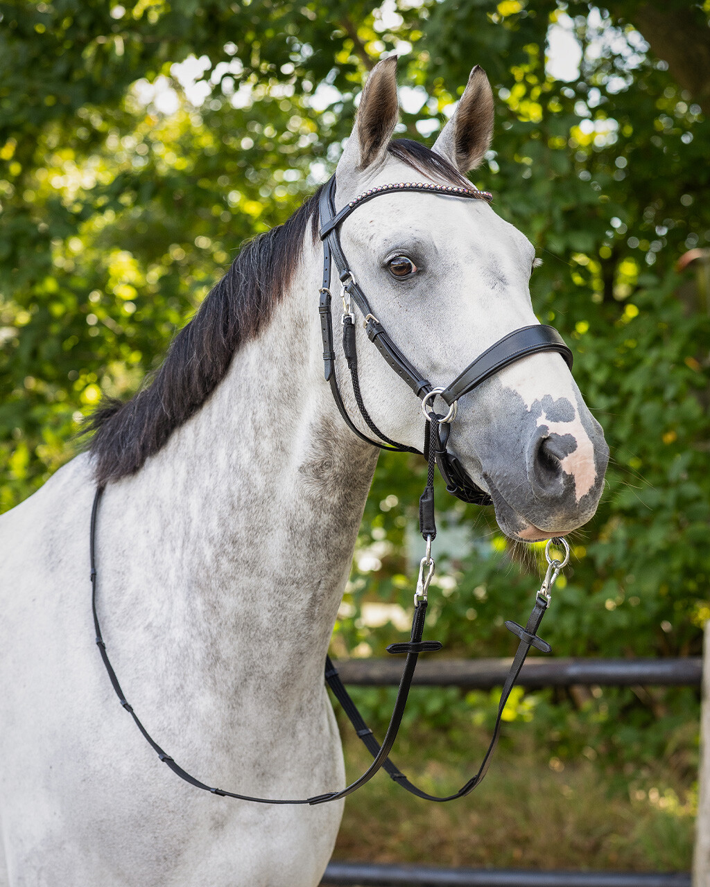 Bitless bridle Sunna incl. reins