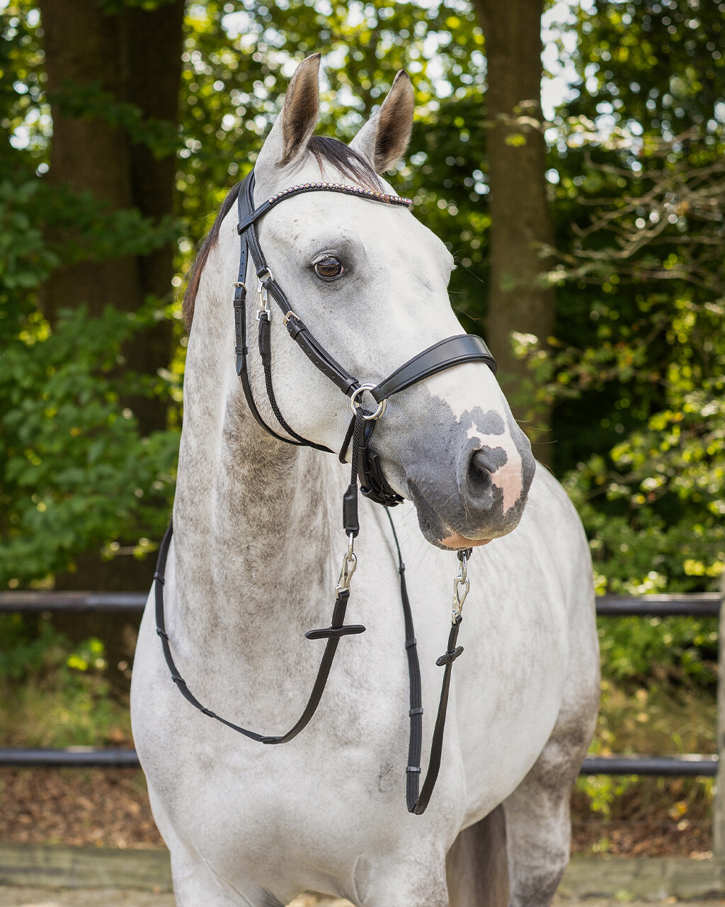 Bitless bridle Sunna incl. reins
