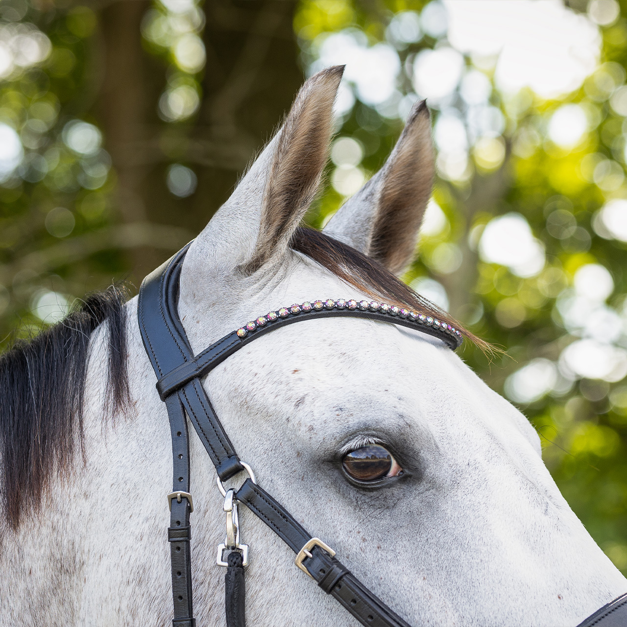 Bitless bridle Sunna incl. reins