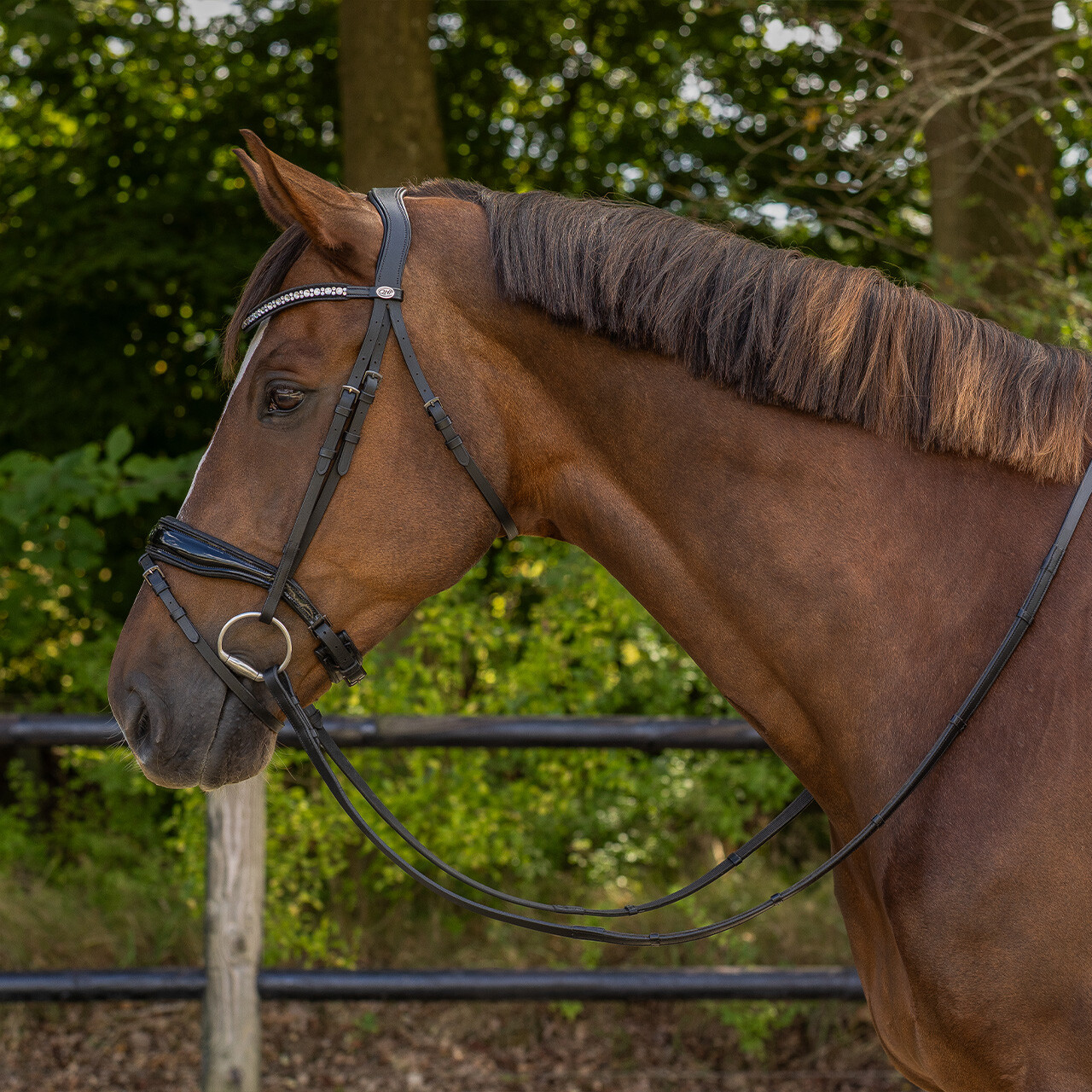 Bridle Orlando incl. reins