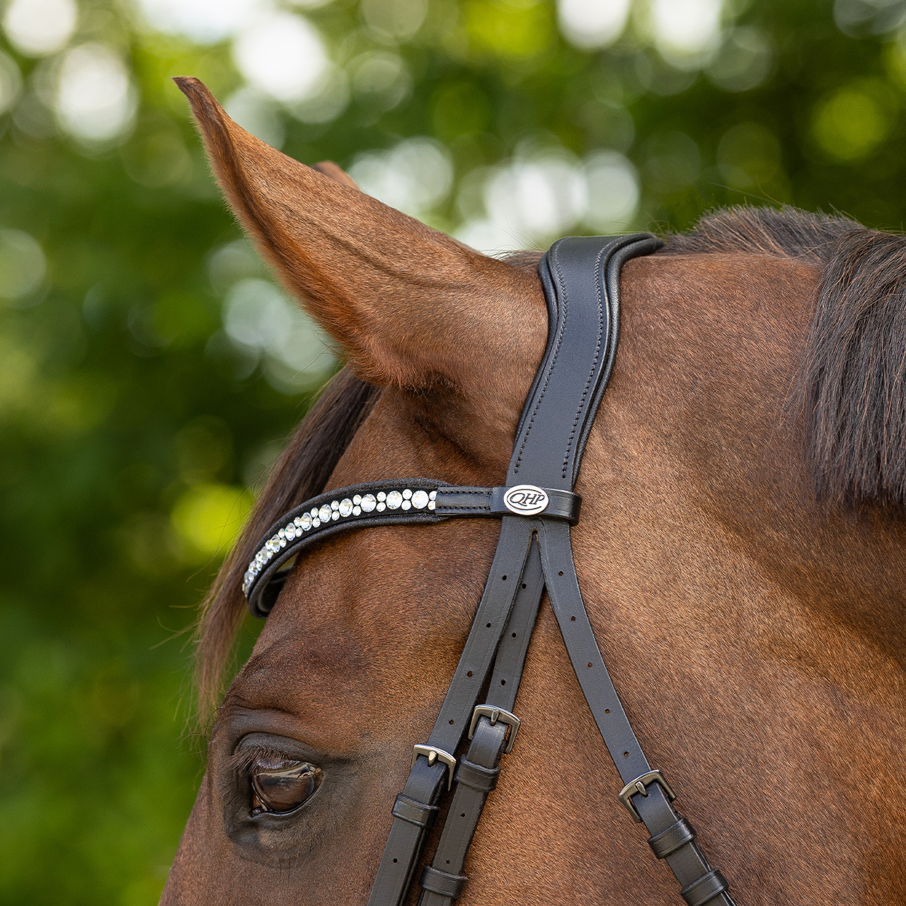 Bridle Orlando incl. reins
