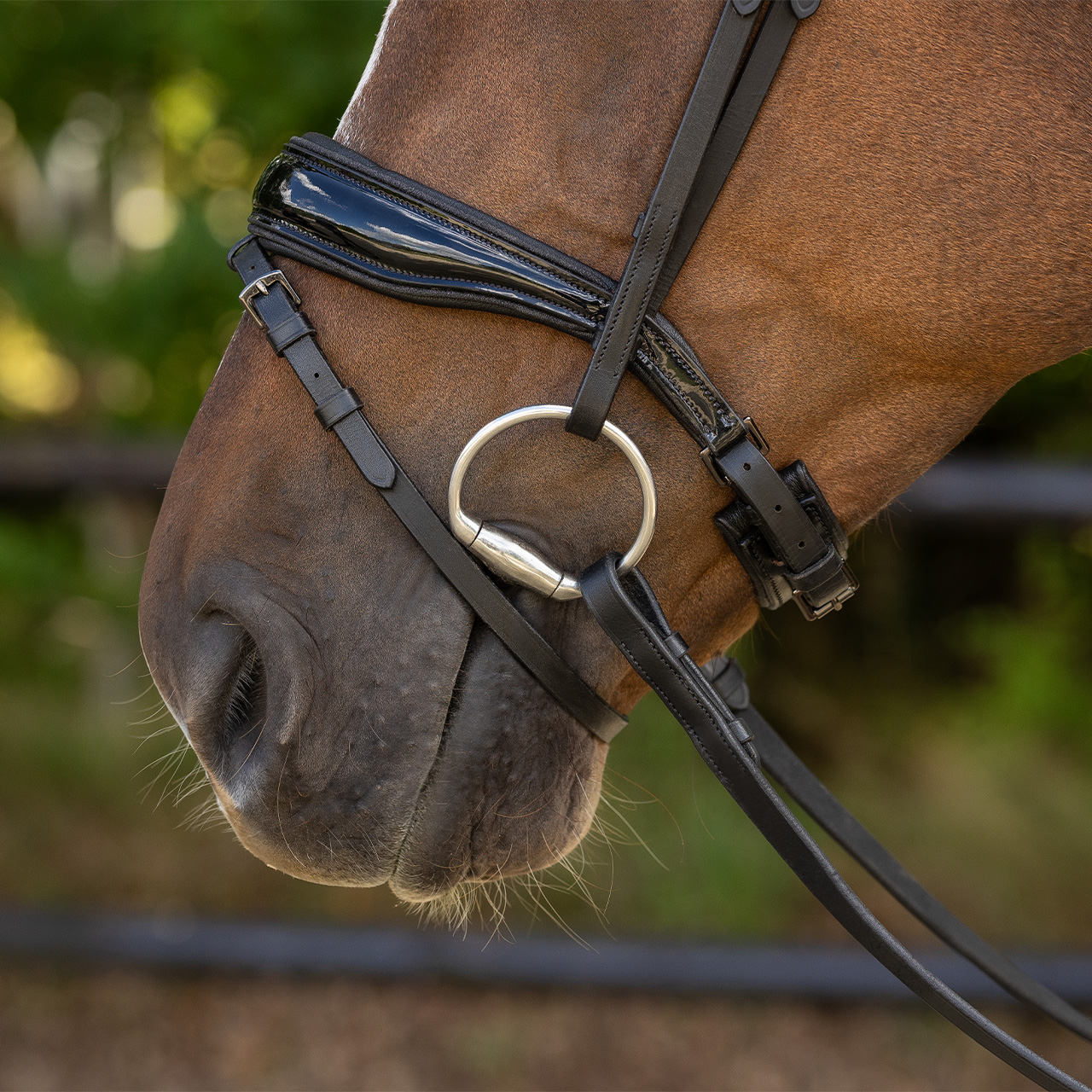 Bridle Orlando incl. reins