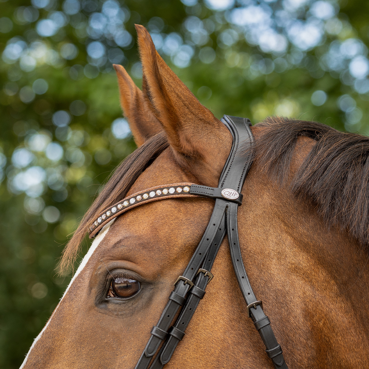Bridle Orlando incl. reins