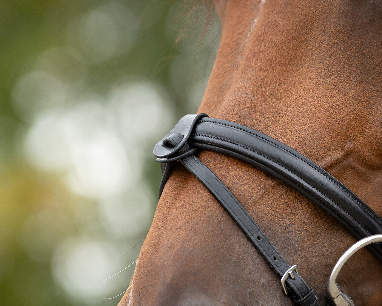 Flash noseband loop