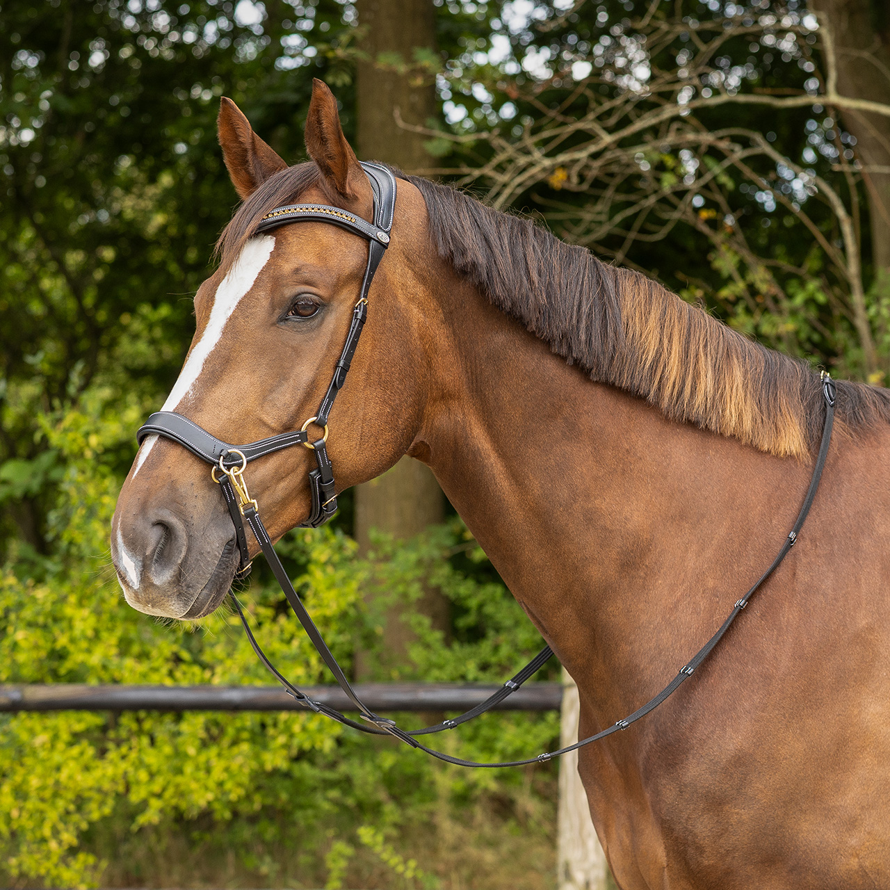 Bitless bridle Anatomical incl. reins
