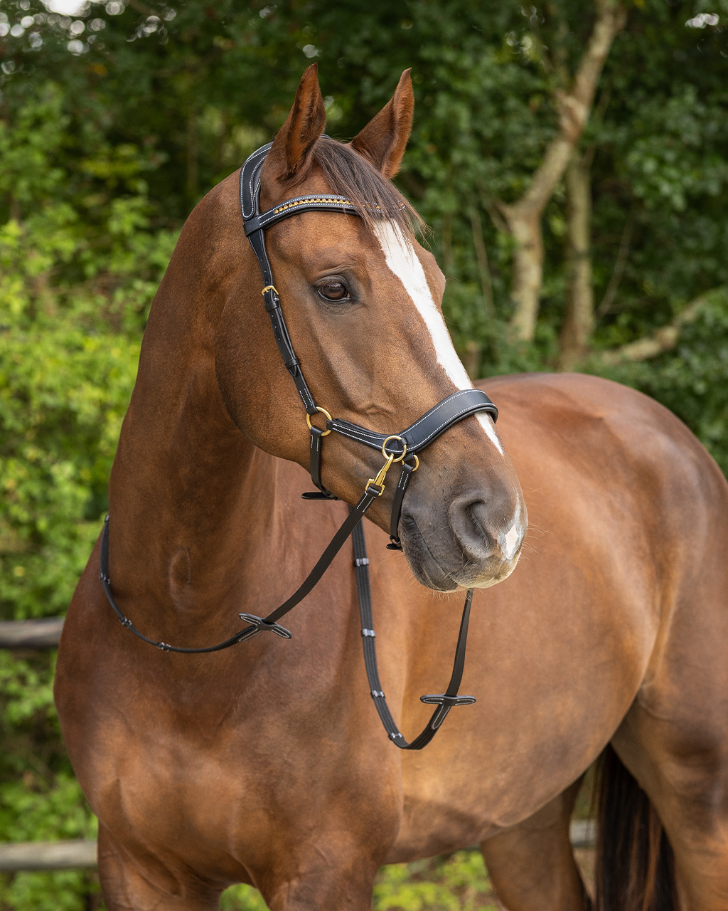 Bitless bridle Anatomical incl. reins