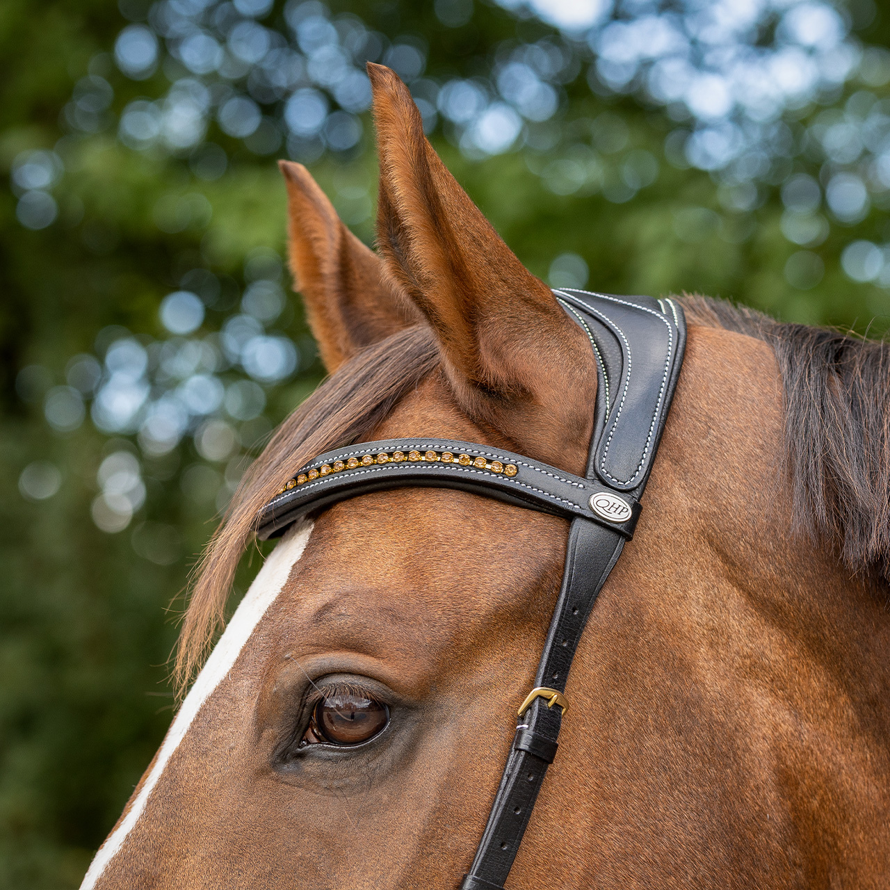 Bitless bridle Anatomical incl. reins