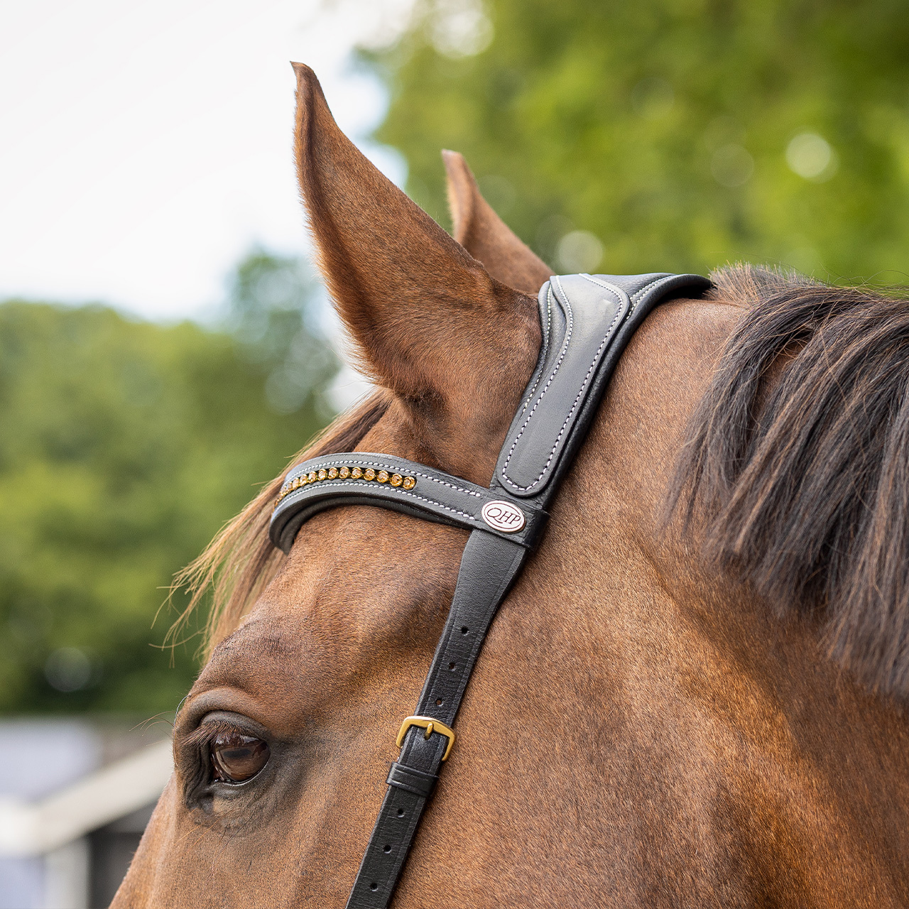 Bitless bridle Anatomical incl. reins