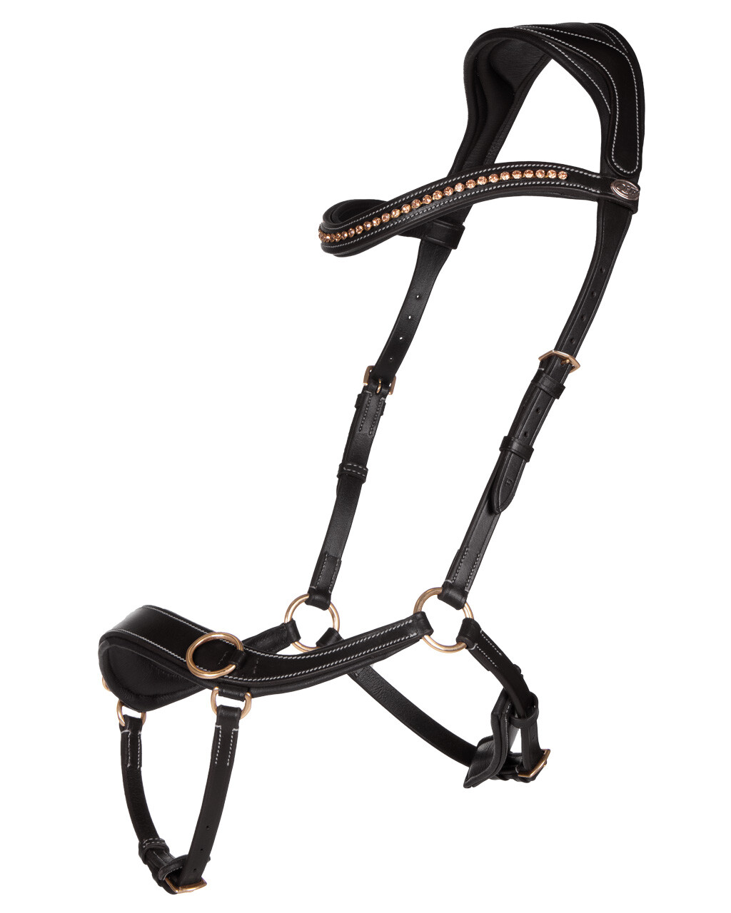 Bitless bridle Anatomical
