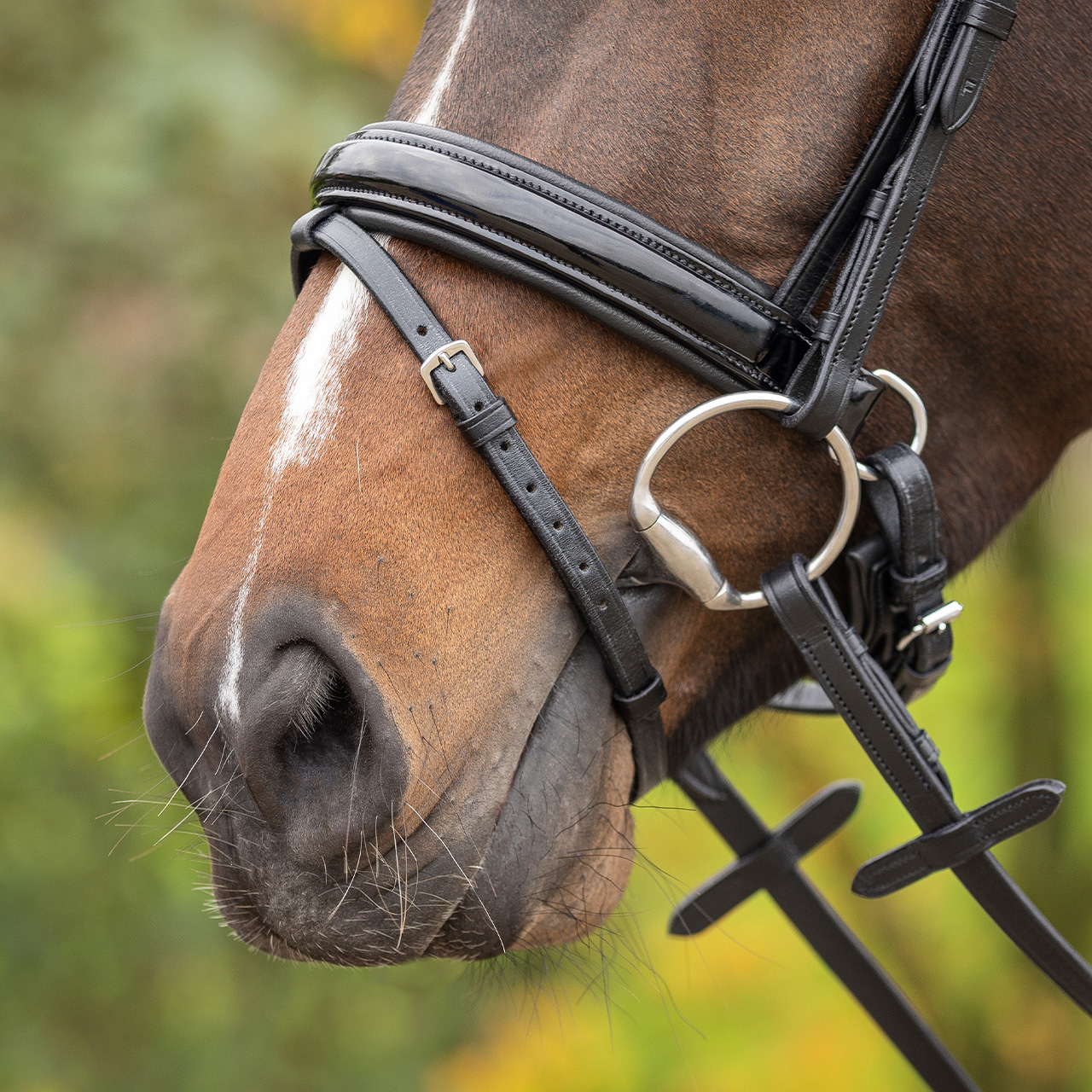 Bridle Sunset incl. reins
