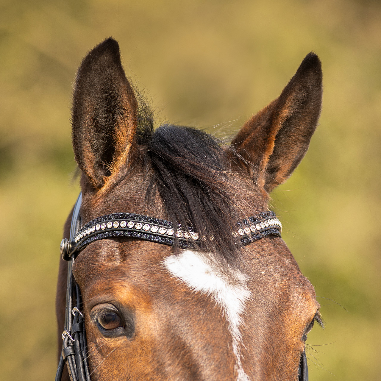 Bridle Skye incl. reins