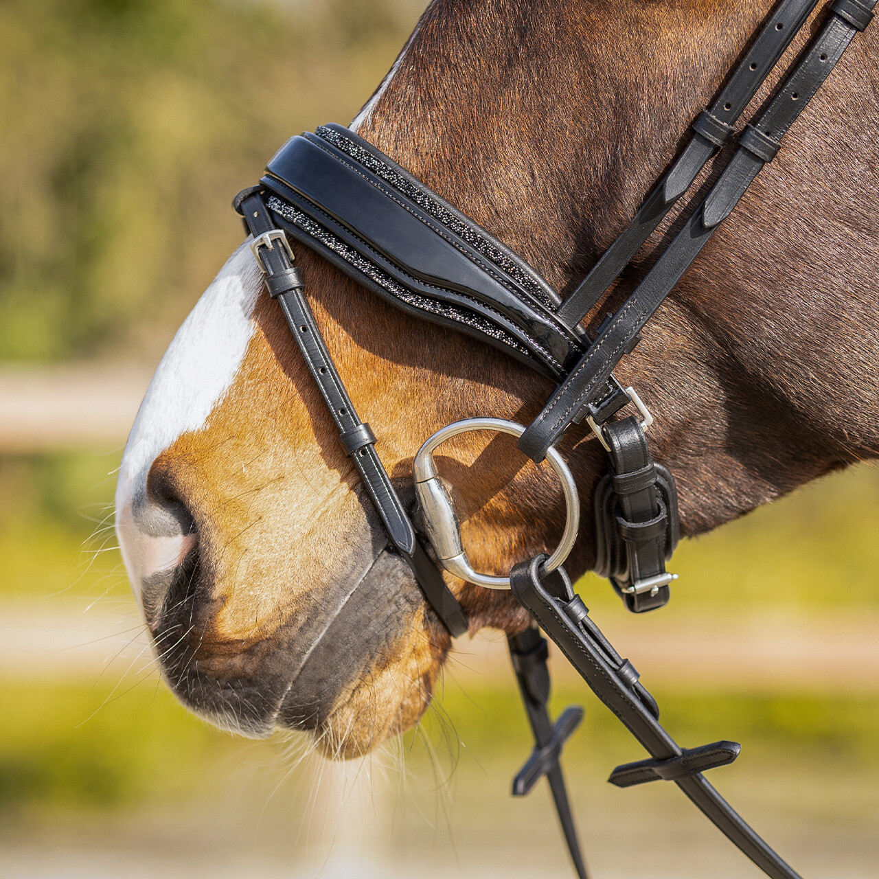 Exchangeable padding Skye