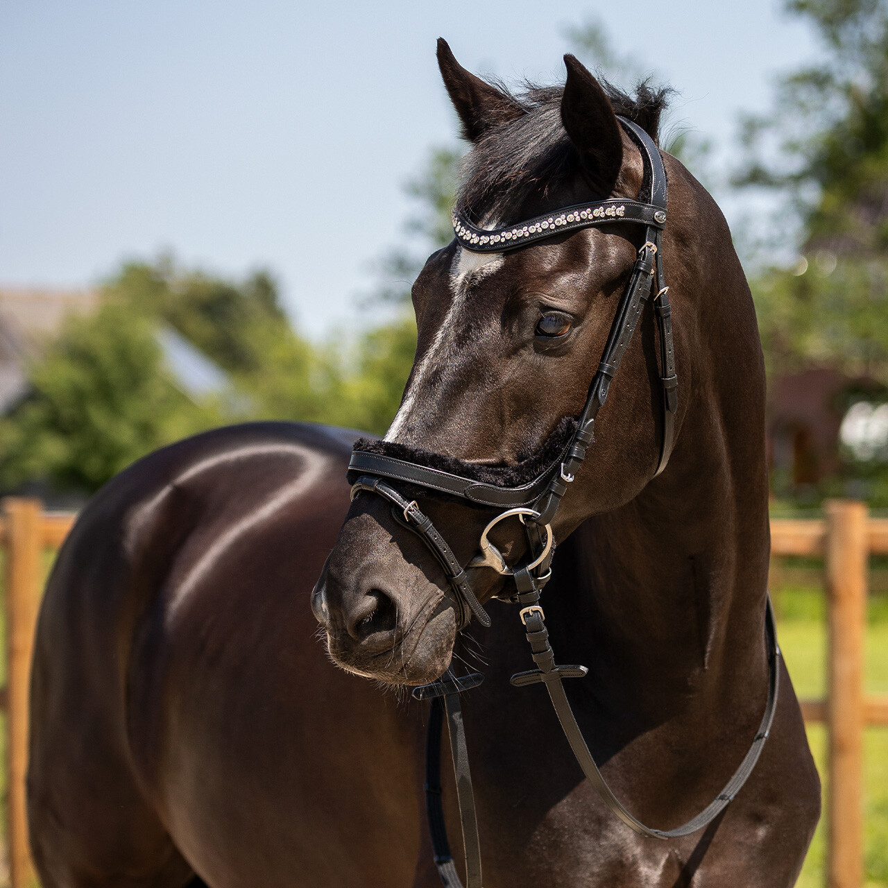 Bridle Sensisoft incl. reins