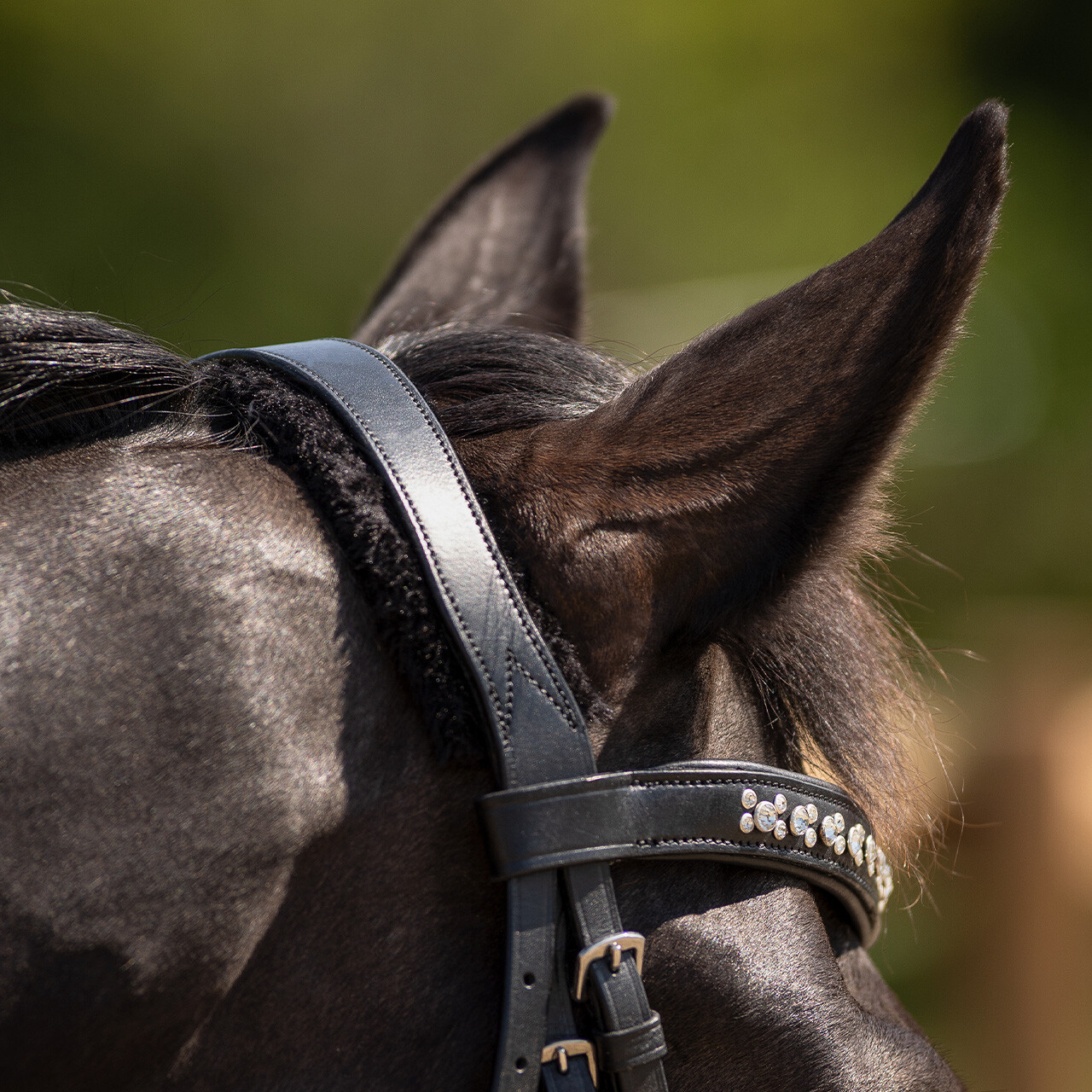 Bridle Sensisoft incl. reins