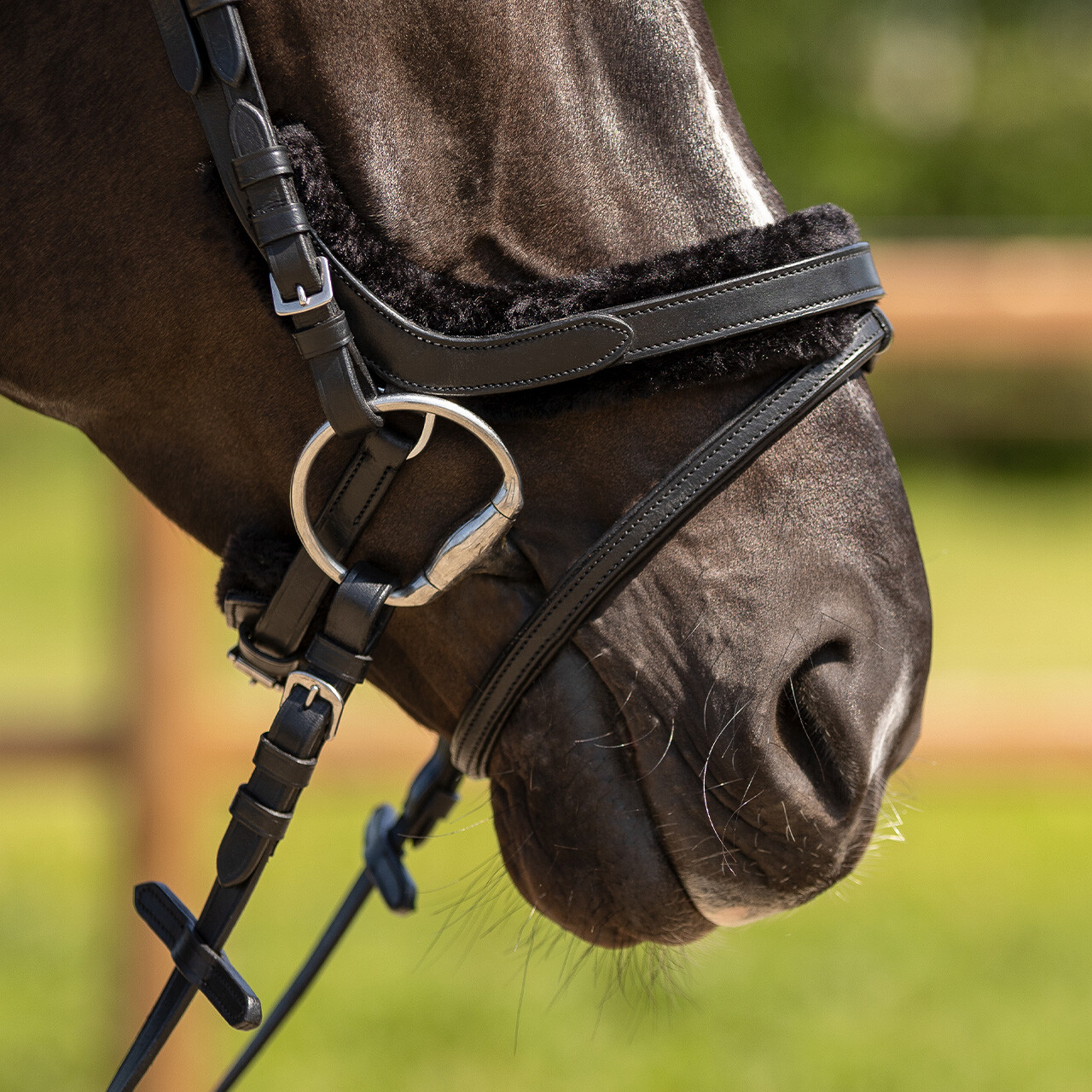 Bridle Sensisoft incl. reins