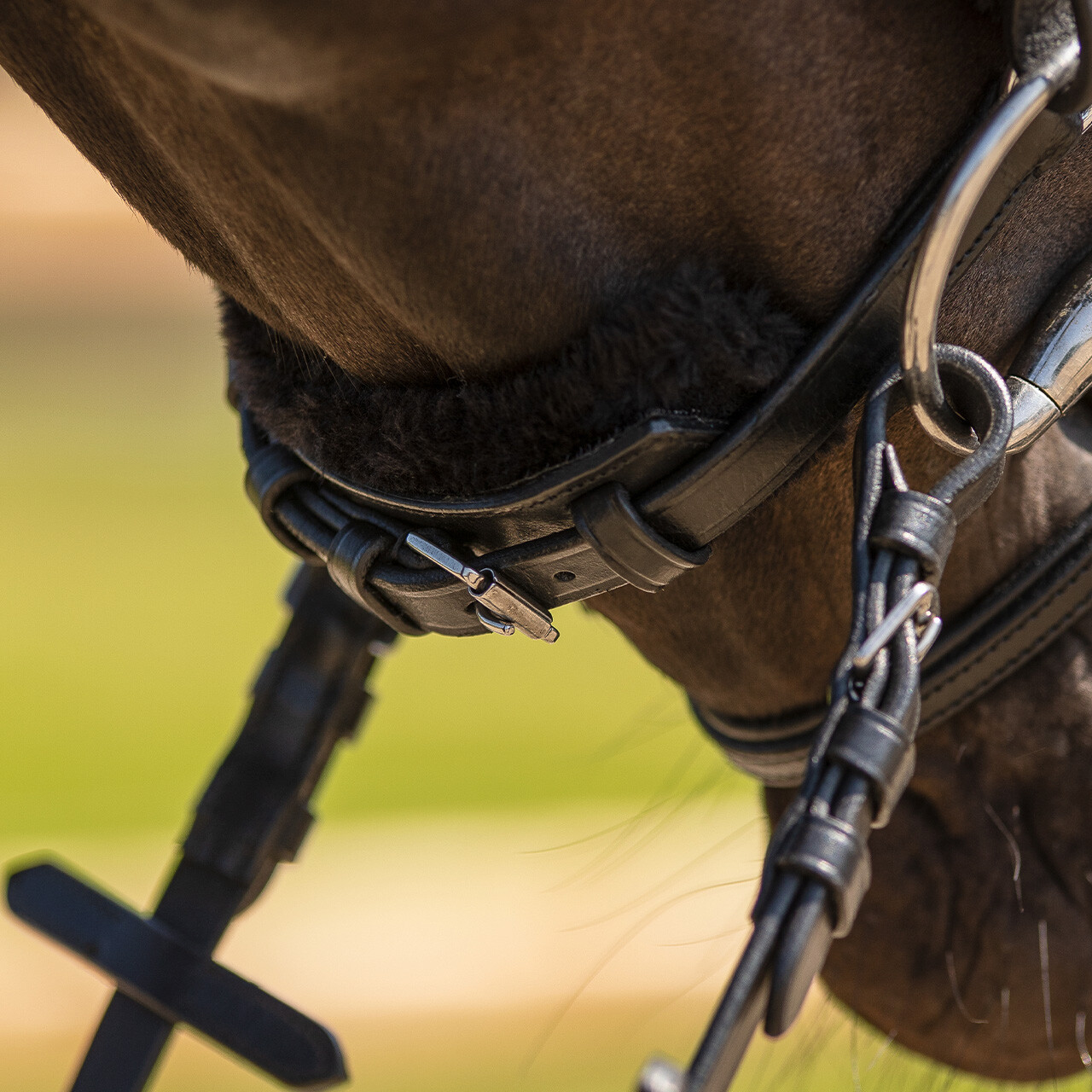 Bridle Sensisoft incl. reins