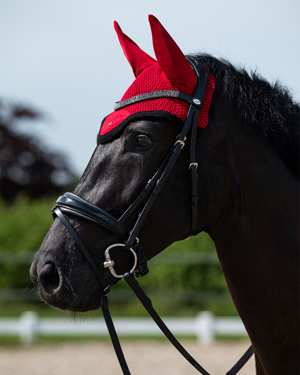 Bridle Lagos incl. reins