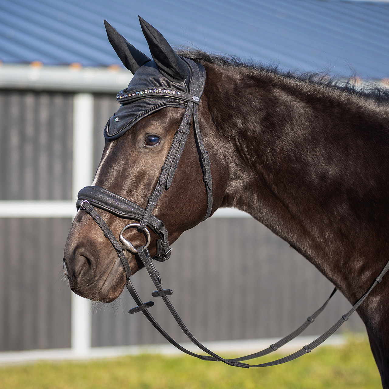 Bridle Glitter
