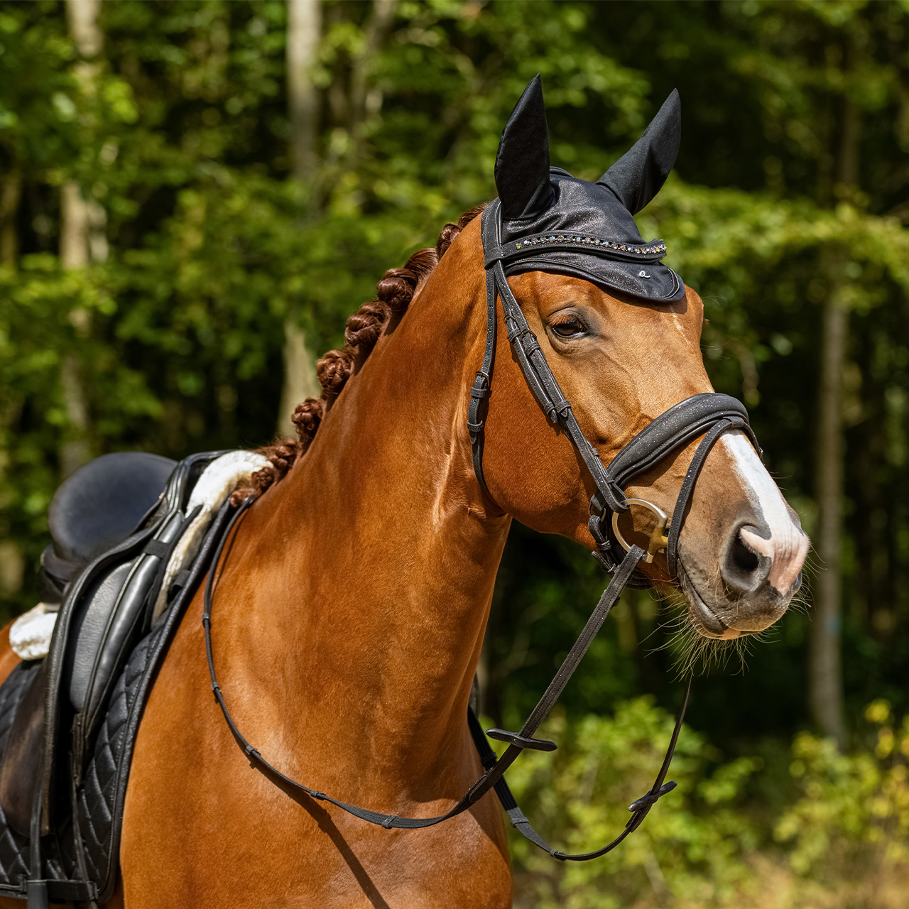 Bridle Glitter