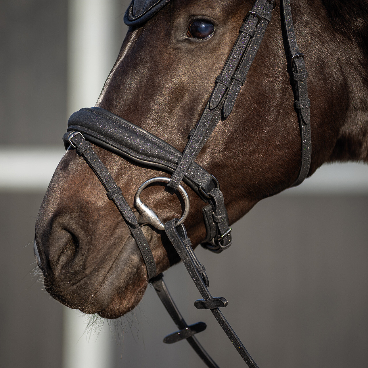 Bridle Glitter