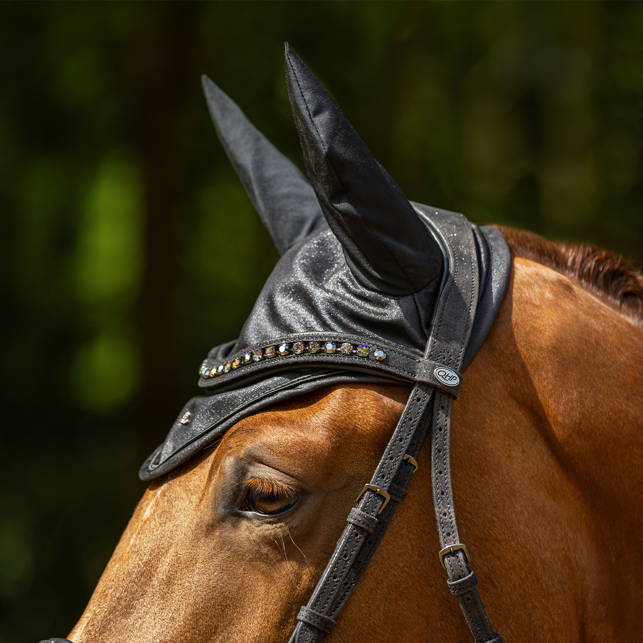 Bridle Glitter