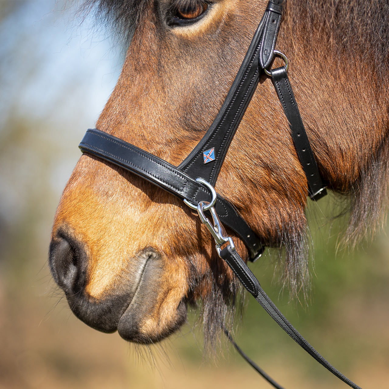 Bitless bridle Fjara Icelandic