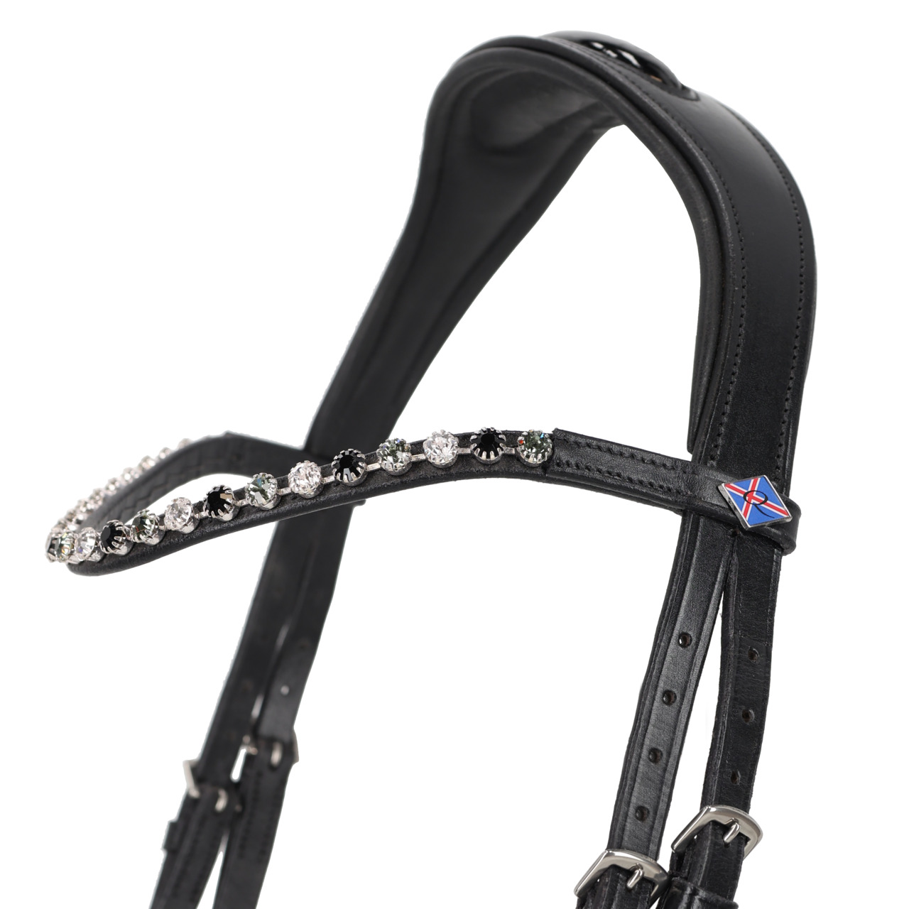 Bridle Fjara Icelandic