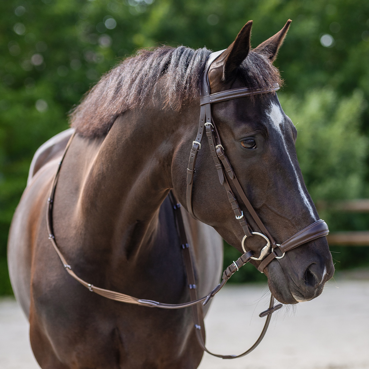 Low noseband