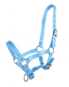 Head collar foal Lightblue Full-foal 04