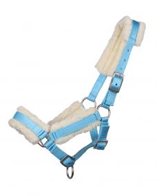 Head collar foal with fur Baby-blue Full-foal 04