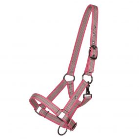 Head collar foal collection Flamingo Full