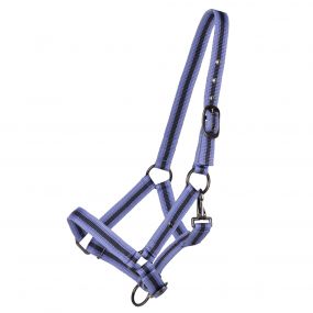 Head collar foal collection Purple Sunset Full