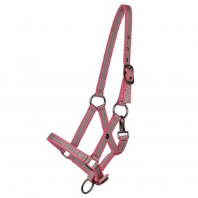 Head collar yearling collection Flamingo