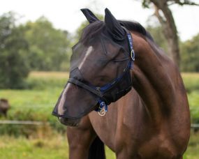Fly mask with detachable nose flap Black Extra full