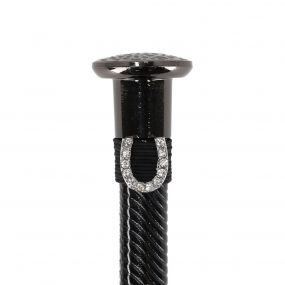 Whip jewel Horseshoe