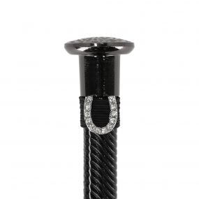 Whip jewel Horseshoe