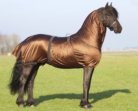 Eczema rug Big neck Brown 235